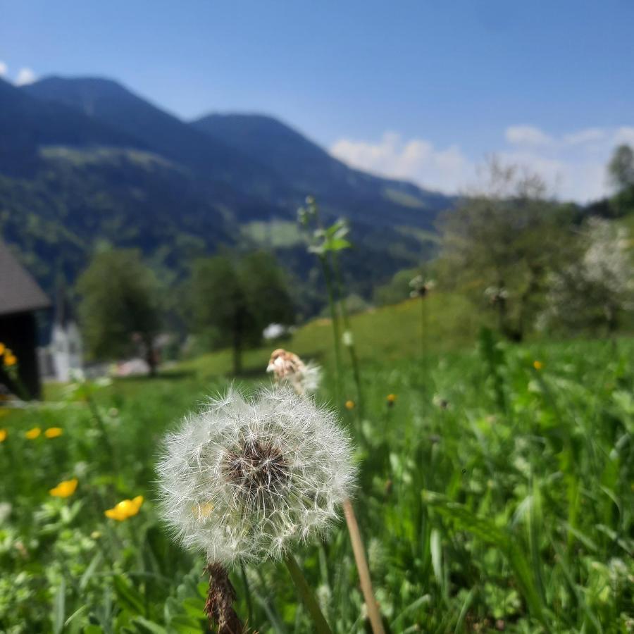 Sunnaschi Appartements - Wohnungen Oder Gesamt Als "Huette" Laterns Exteriör bild