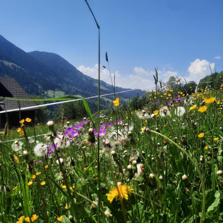 Sunnaschi Appartements - Wohnungen Oder Gesamt Als "Huette" Laterns Exteriör bild
