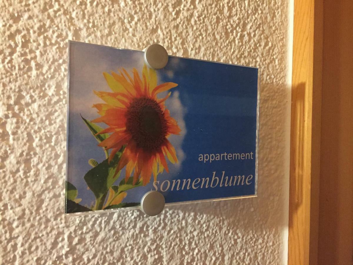 Sunnaschi Appartements - Wohnungen Oder Gesamt Als "Huette" Laterns Exteriör bild